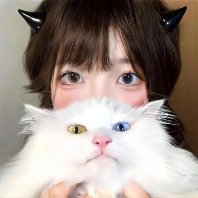 飙速青春